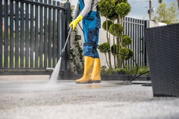 Best Roof Washing  in Carteret, NJ